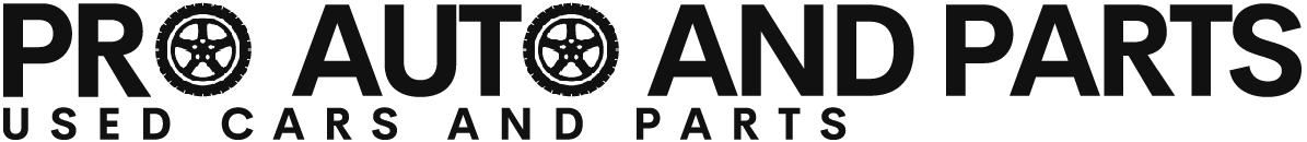 PRO AUTO AND PARTS INC PRO AUTO AND PARTS INC